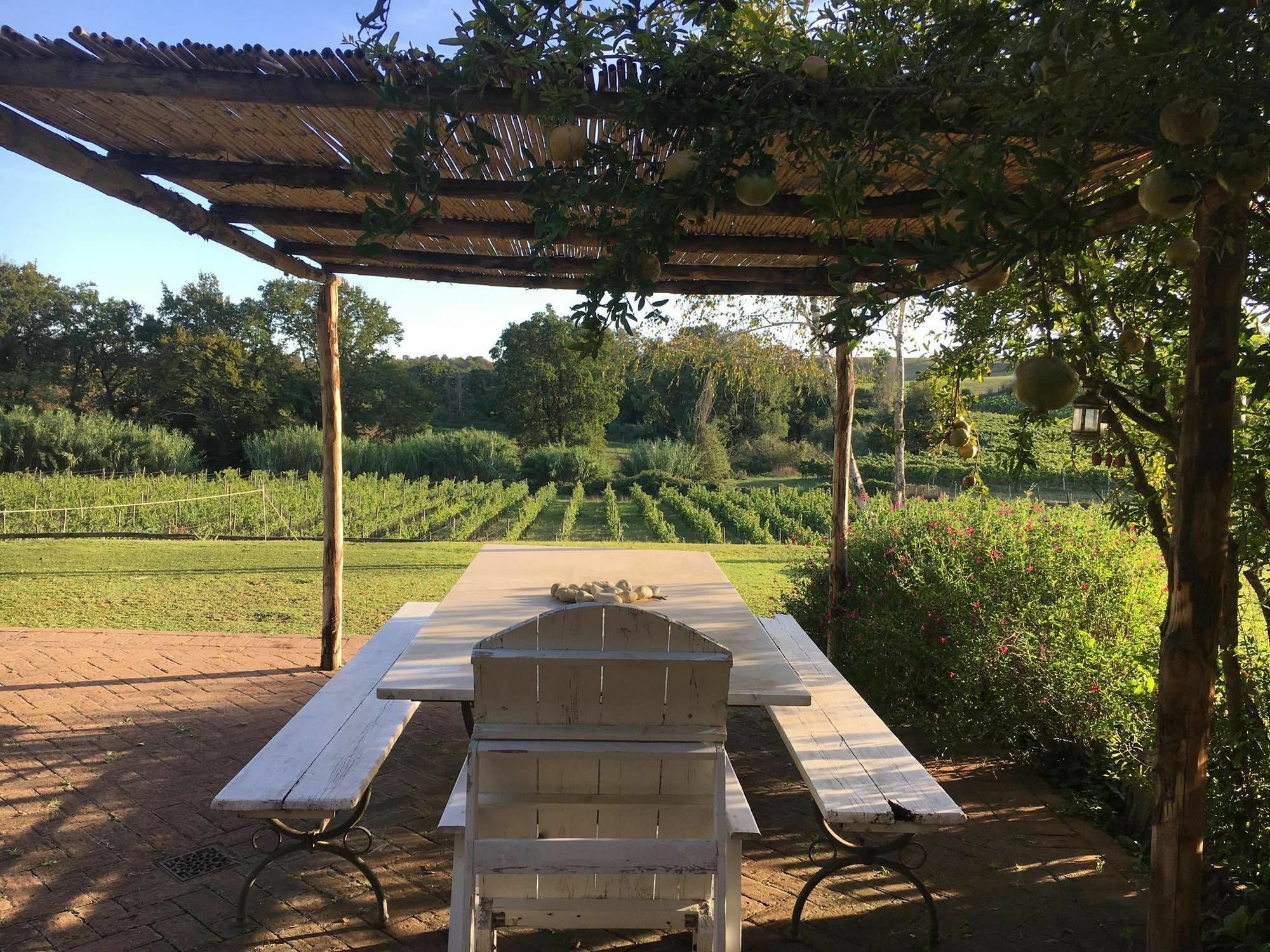 Bed and Breakfast Borgo del Gelso Olgiata Exterior foto