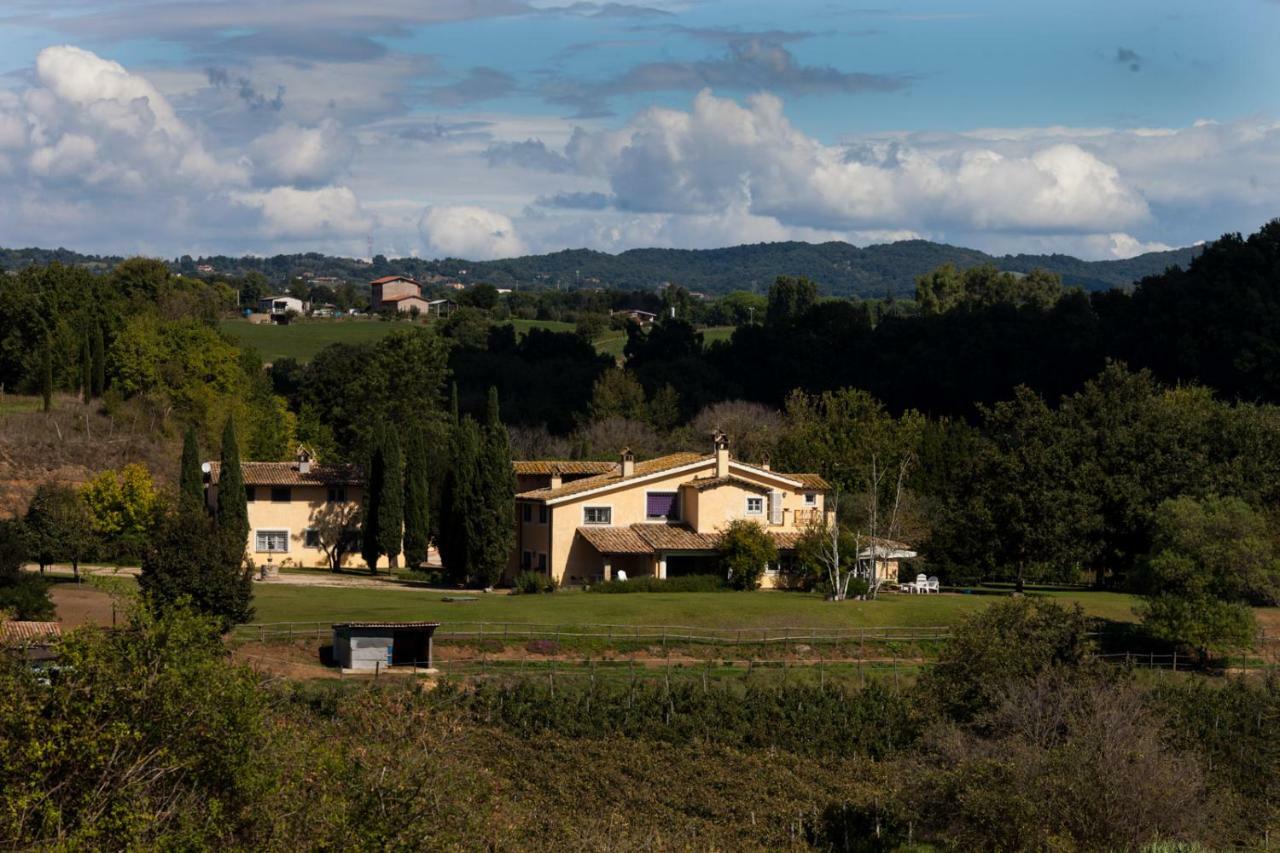 Bed and Breakfast Borgo del Gelso Olgiata Exterior foto